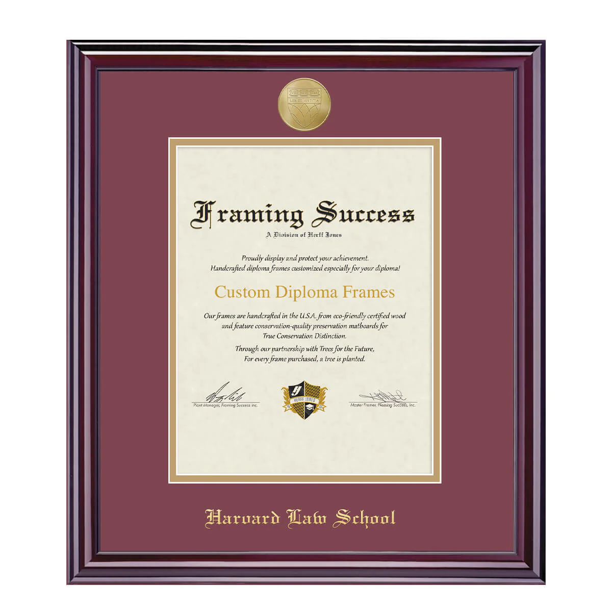 Harvard Medallion Undergraduate or Graduate Diploma Frame - Image 14